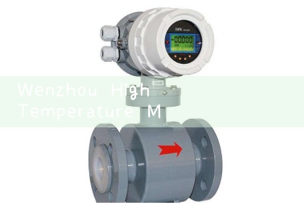 Wenzhou High Temperature Mass Flow Meter Manufacturer